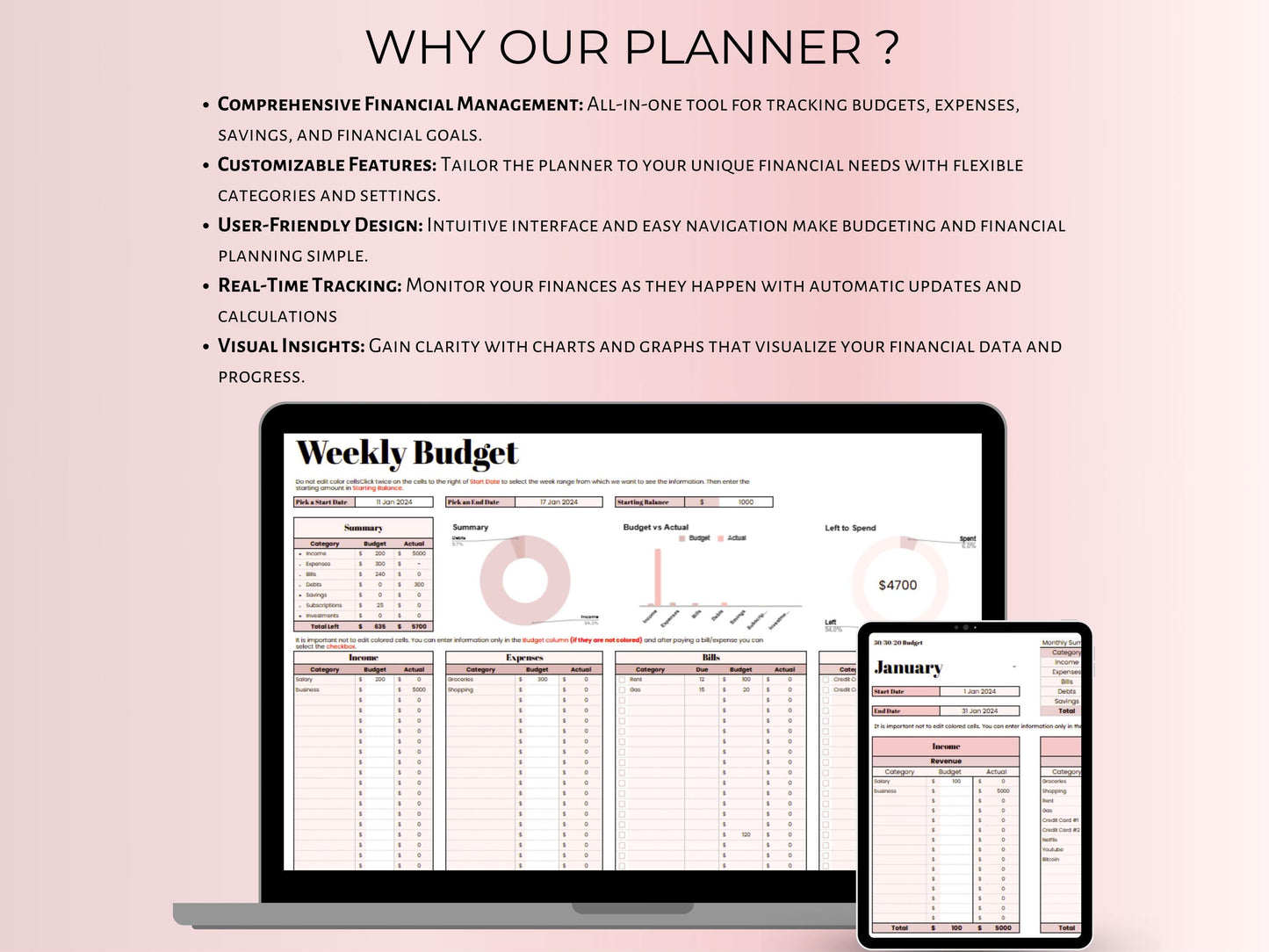 Biweekly Budget Planner - Pink Template