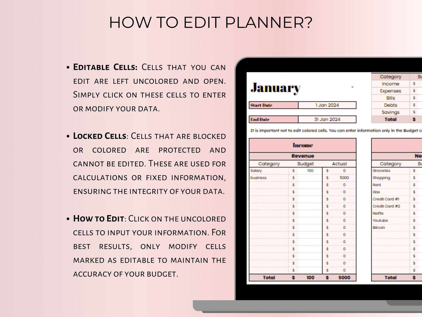 Paycheck Budget Planner - Pink Template