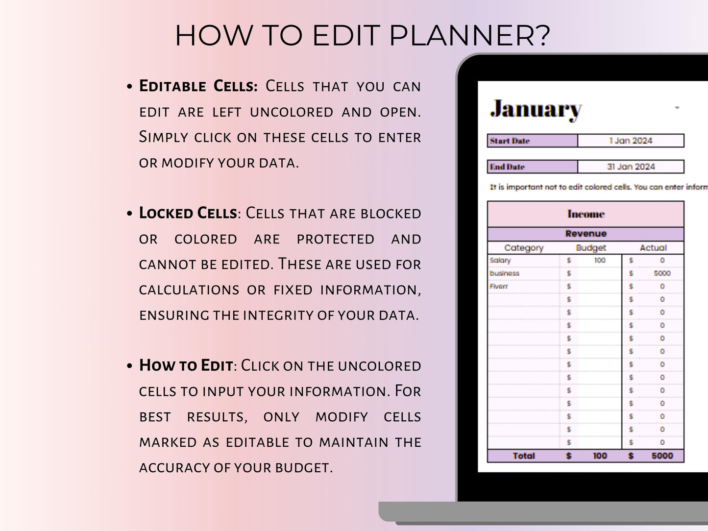 Biweekly Budget Planner - Berry Template